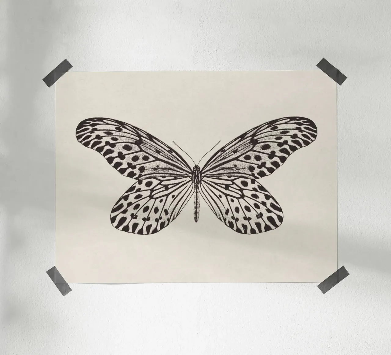 Butterfly Boho Sketch no. 1 carta hahnemühle da apoloprints