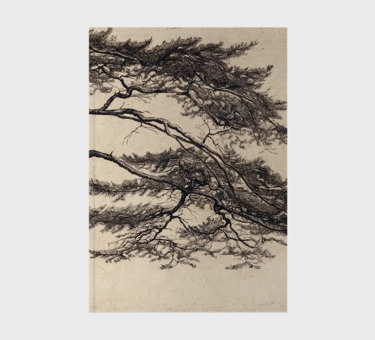 Pine Tree Branch no. 1 notebook by apoloprints