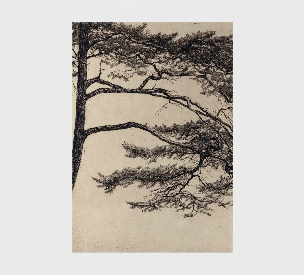 Pine Tree Branch no. 1 notebook by apoloprints