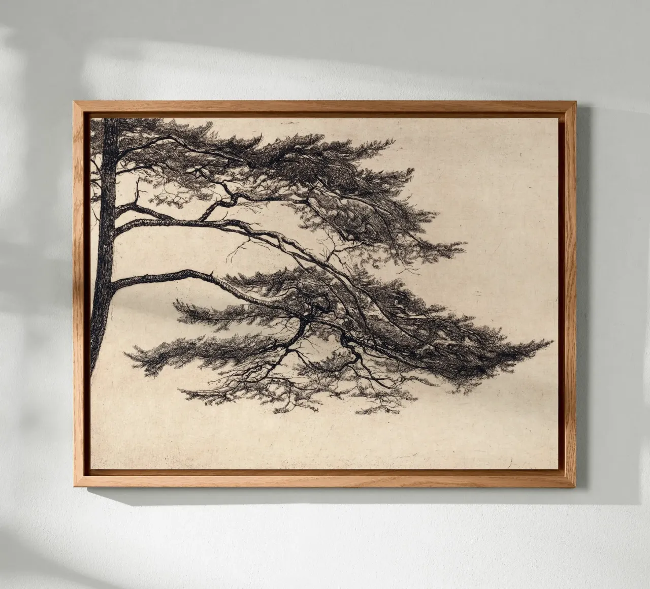 Pine Tree Branch no. 1 alluminio dibond da apoloprints