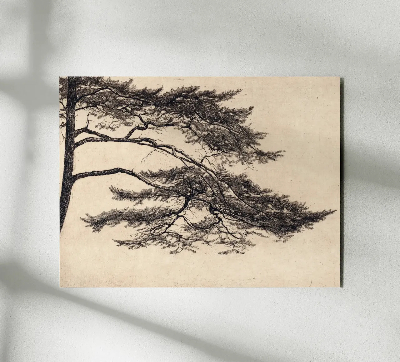 Pine Tree Branch no. 1 alluminio dibond da apoloprints