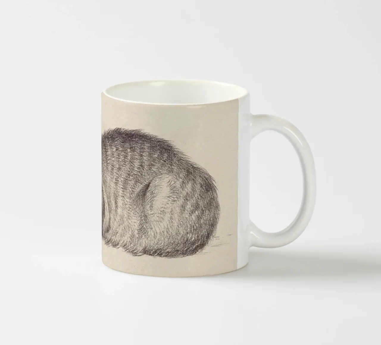 Cat Sleeping tazza in ceramica da apoloprints