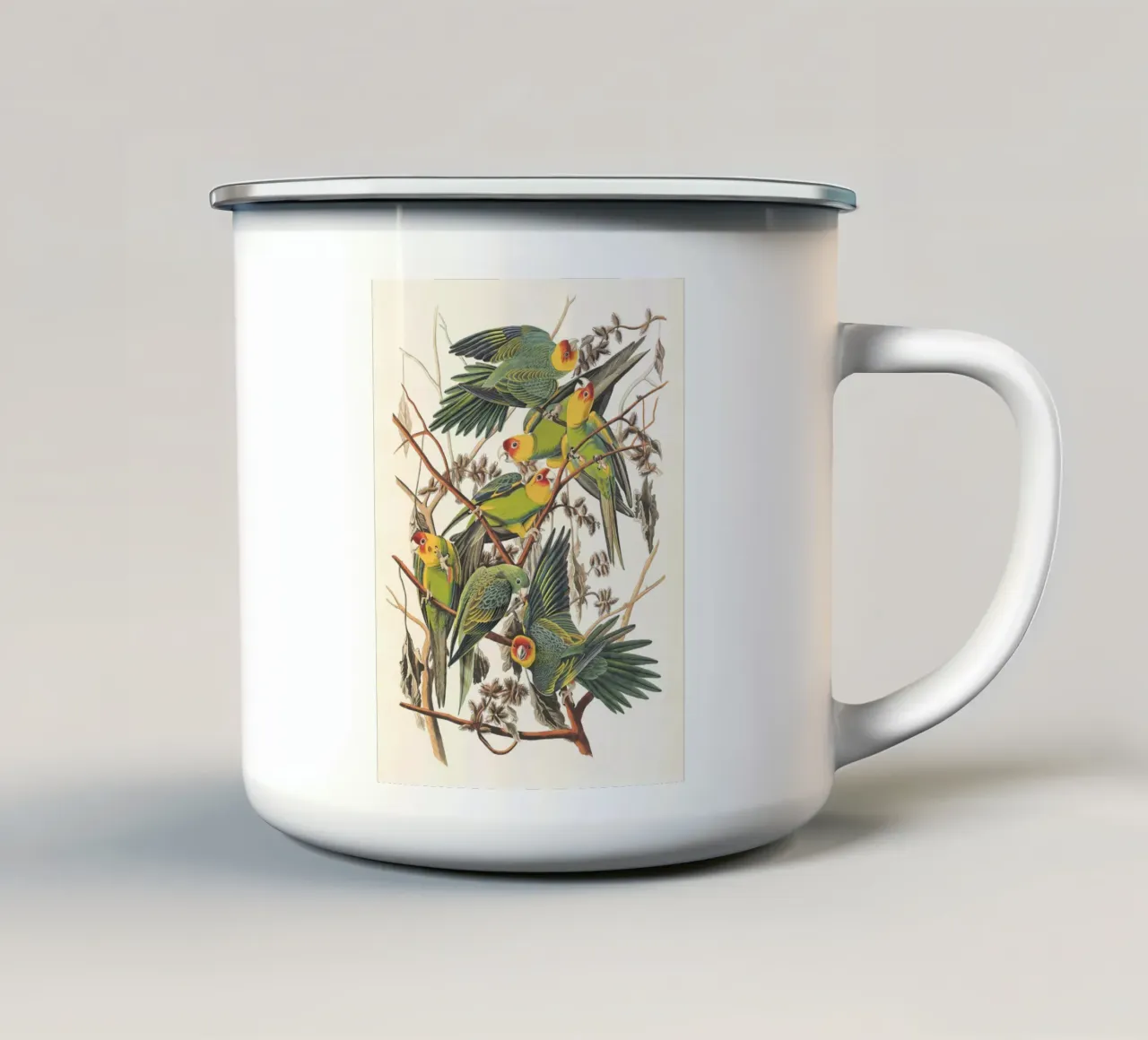 Carolina Parrots tazza in smalto da apoloprints
