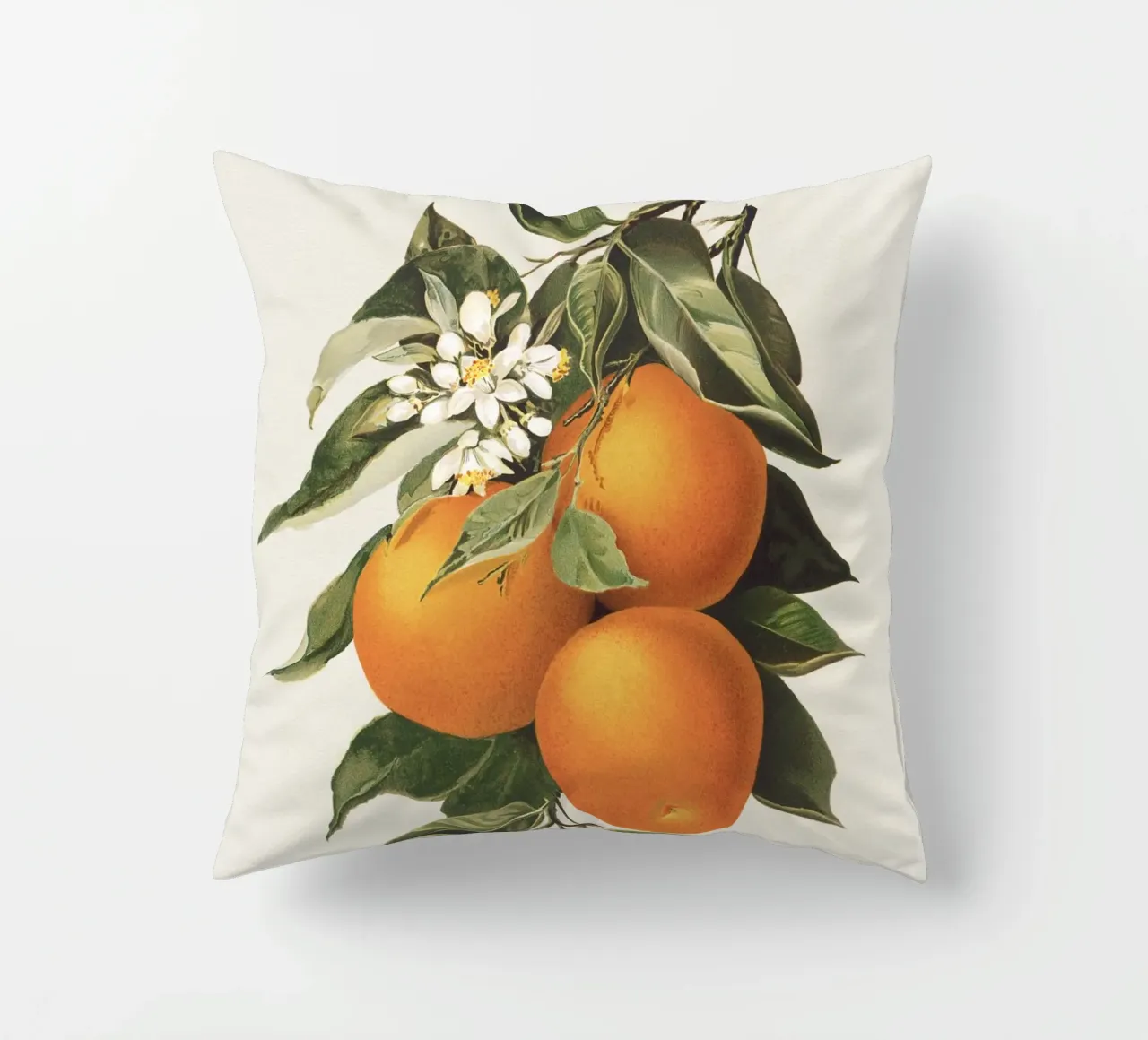 Orange Branch no. 1 cuscino da apoloprints