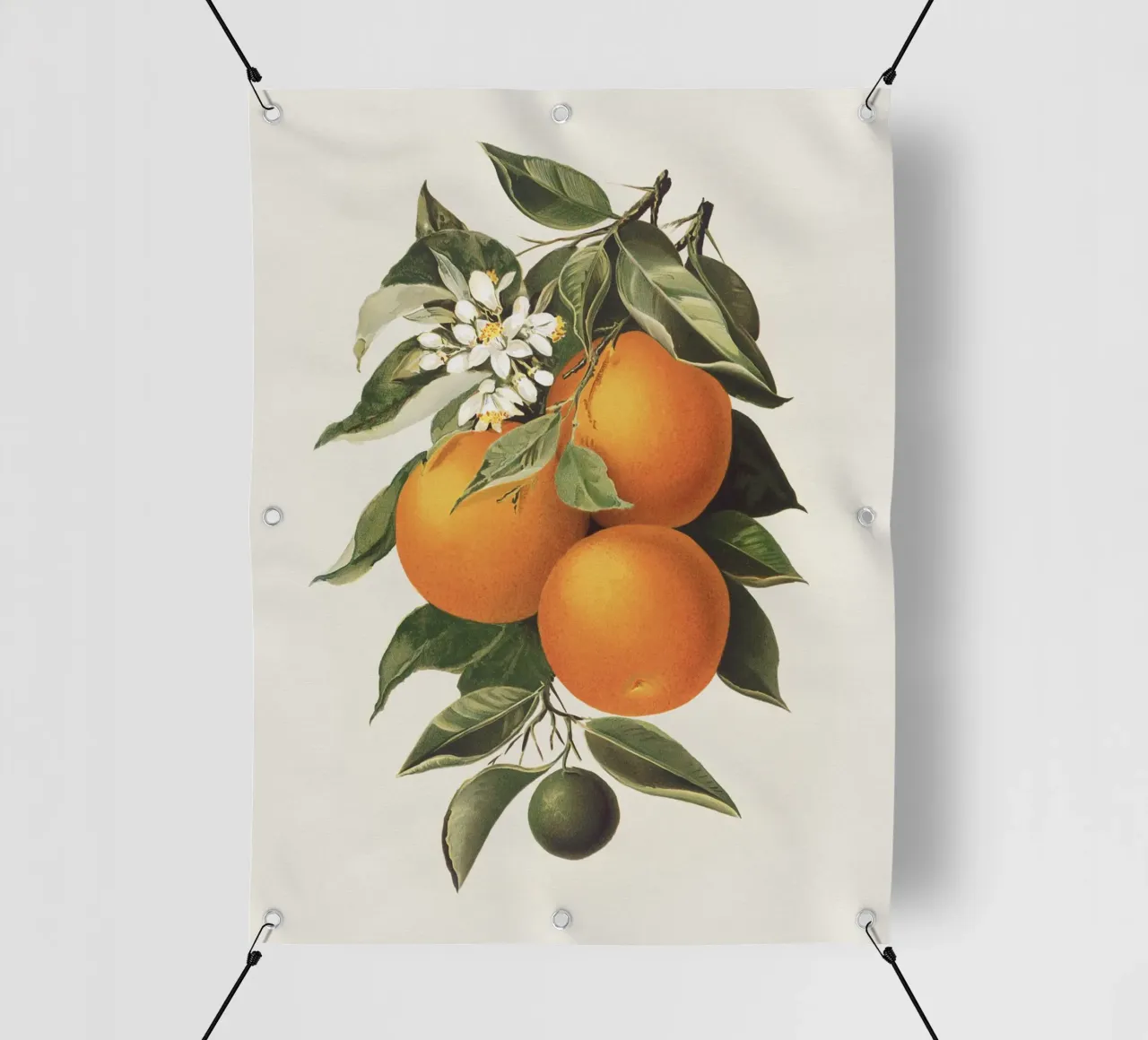 Orange Branch no. 1 telo in pvc da apoloprints