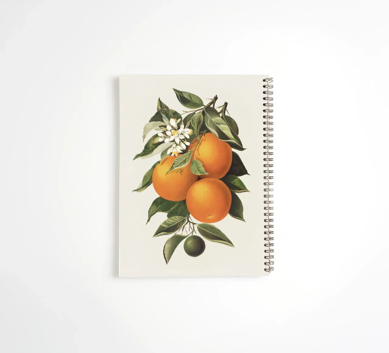 Orange Branch no. 1 Ringbuch von apoloprints