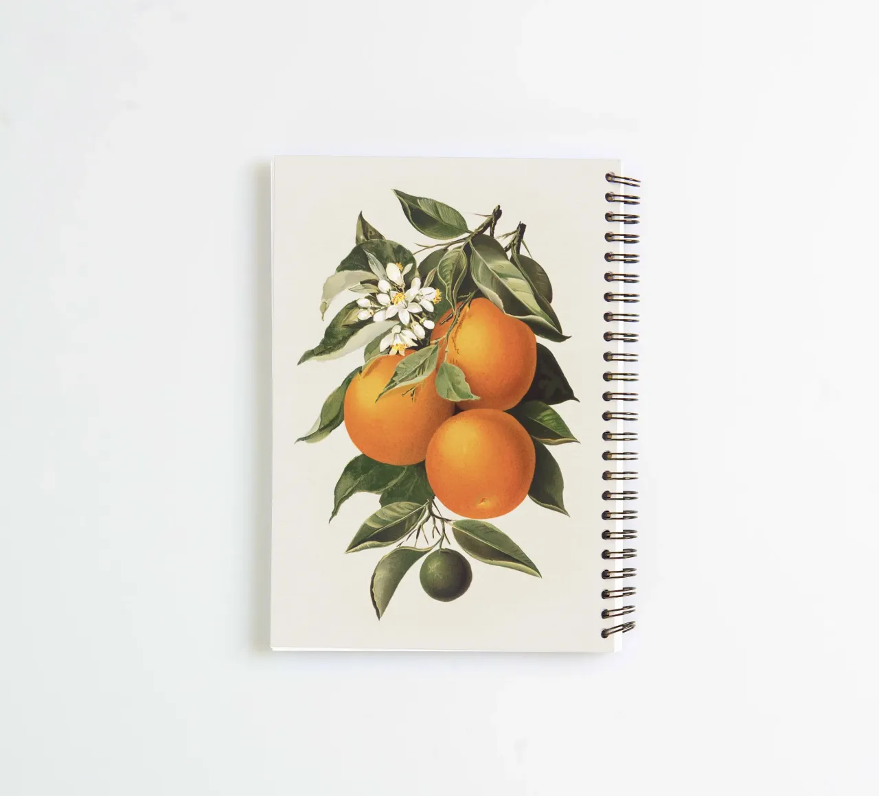 Orange Branch no. 1 Ringbuch von apoloprints