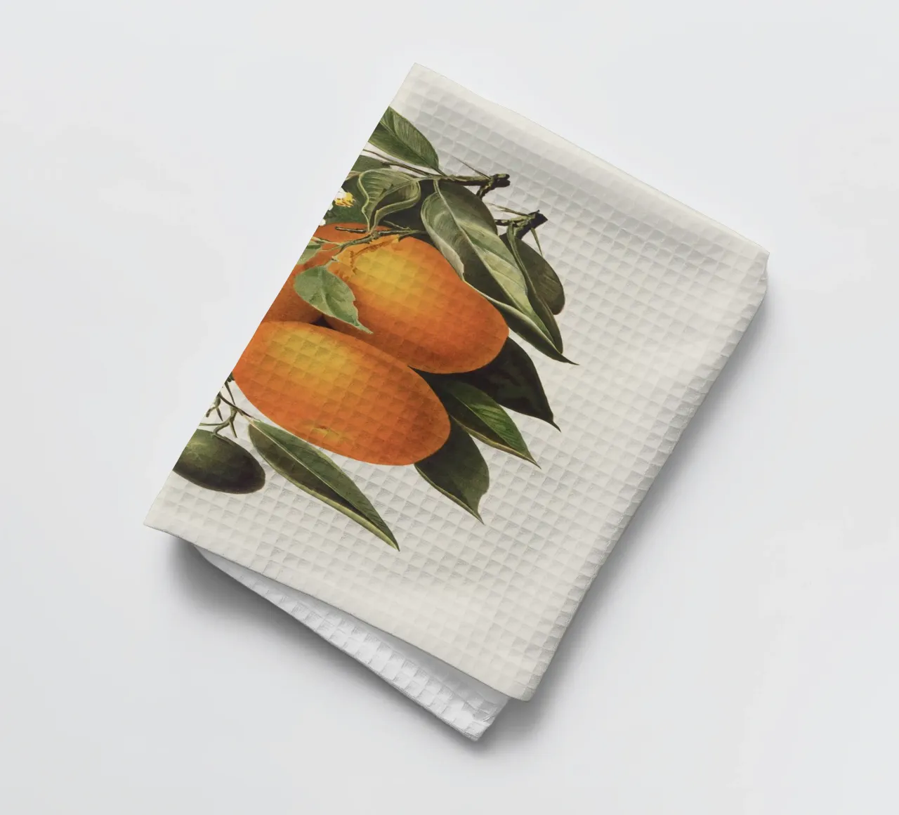 Orange Branch no. 1 canovaccio da cucina da apoloprints