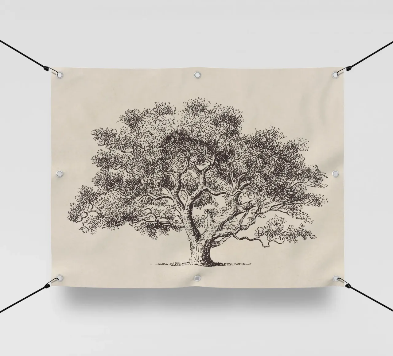 Spring Oak Tree Sketch PVC Plane von apoloprints