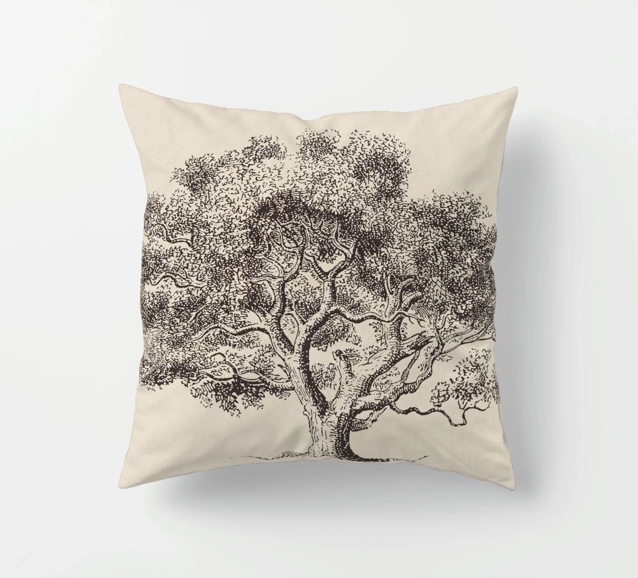 Spring Oak Tree Sketch cuscino da apoloprints
