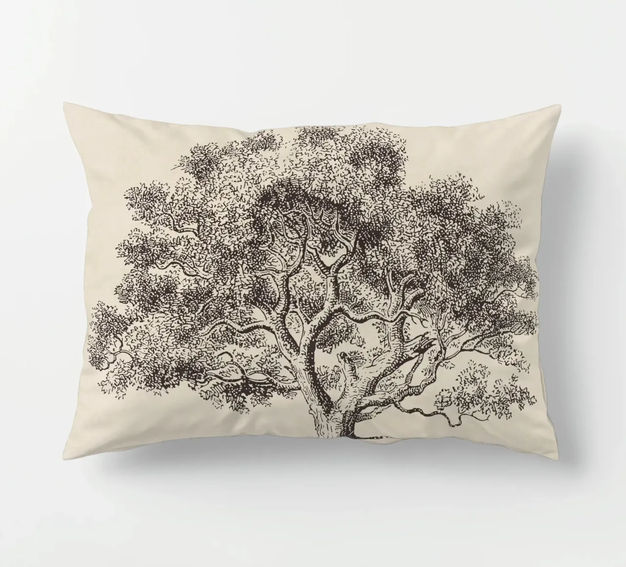 Spring Oak Tree Sketch cuscino da apoloprints