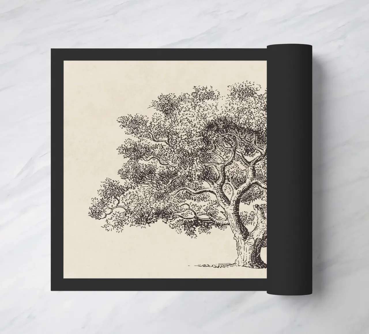Spring Oak Tree Sketch zerbino da apoloprints