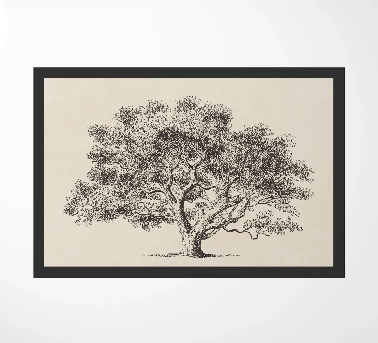 Spring Oak Tree Sketch zerbino da apoloprints