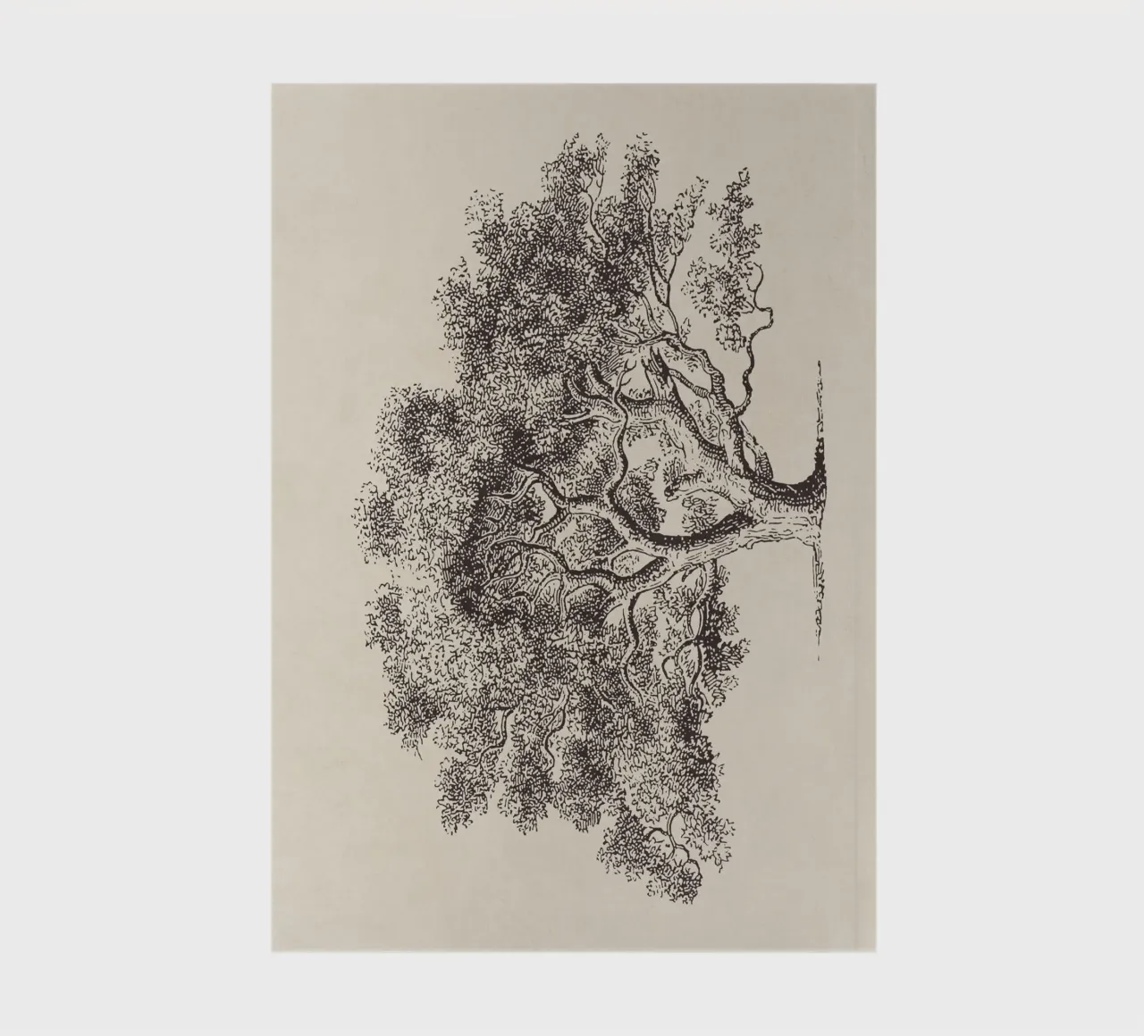 Spring Oak Tree Sketch carnet de notes de apoloprints
