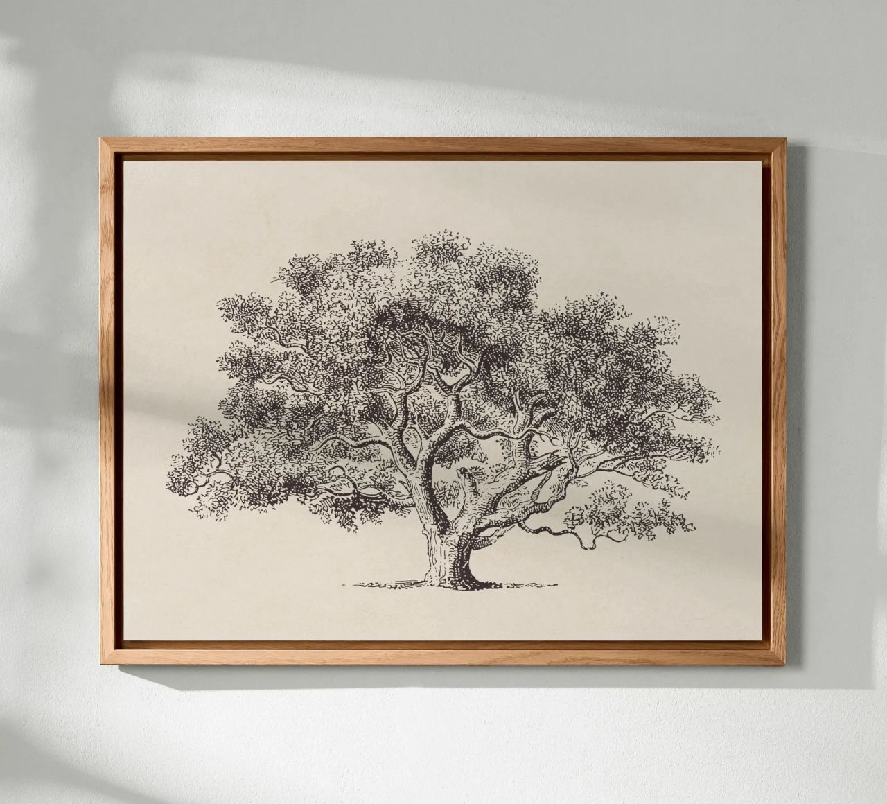 Spring Oak Tree Sketch alluminio dibond da apoloprints