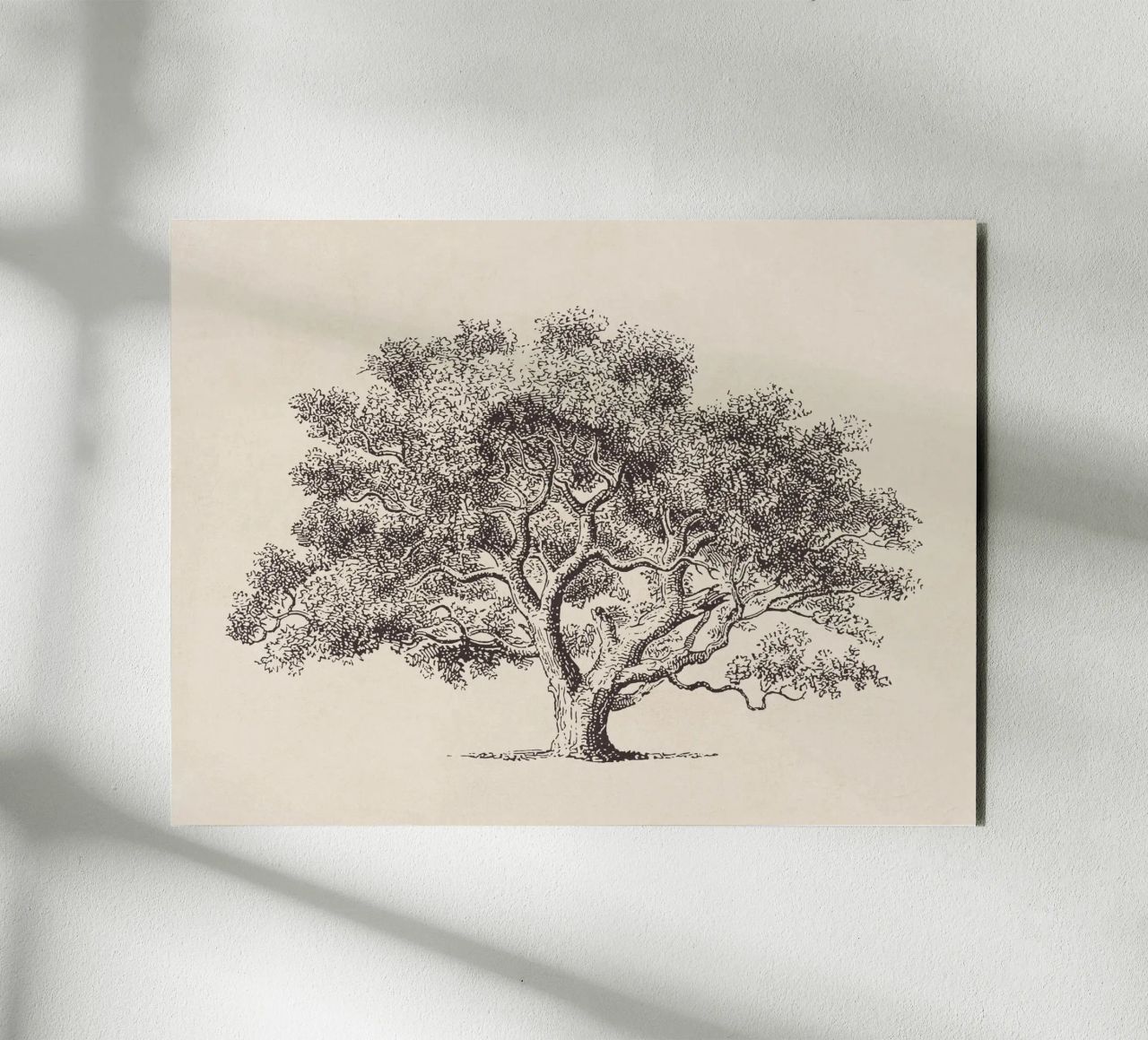 Spring Oak Tree Sketch alluminio dibond da apoloprints
