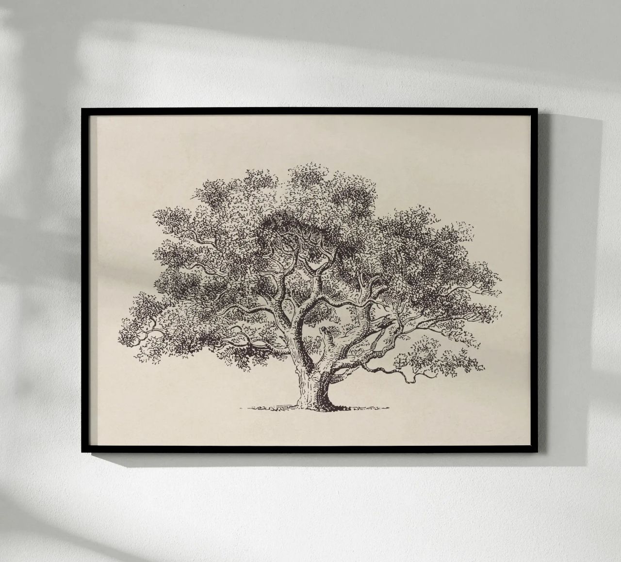 Spring Oak Tree Sketch carta hahnemühle da apoloprints