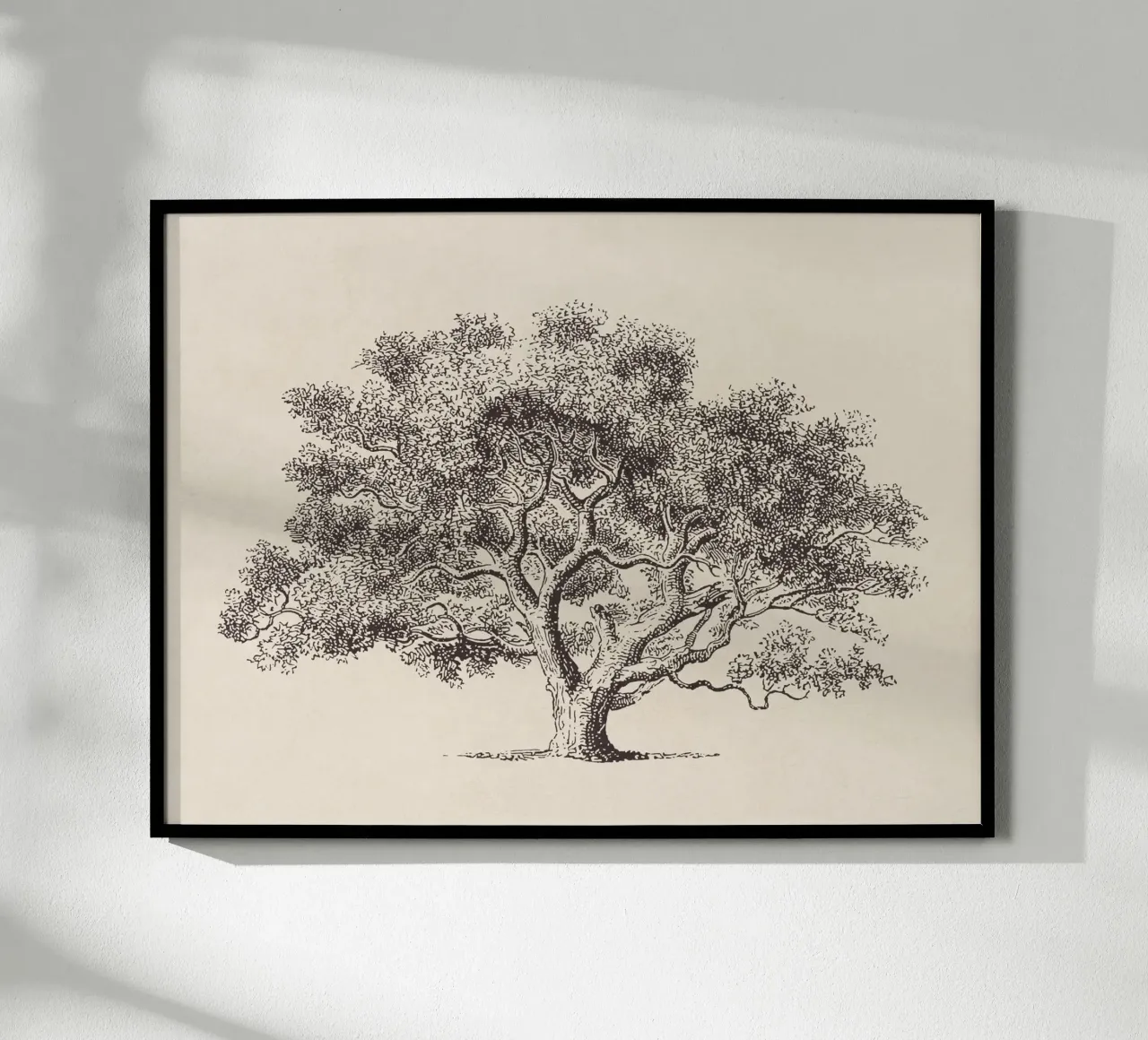 Spring Oak Tree Sketch poster da apoloprints