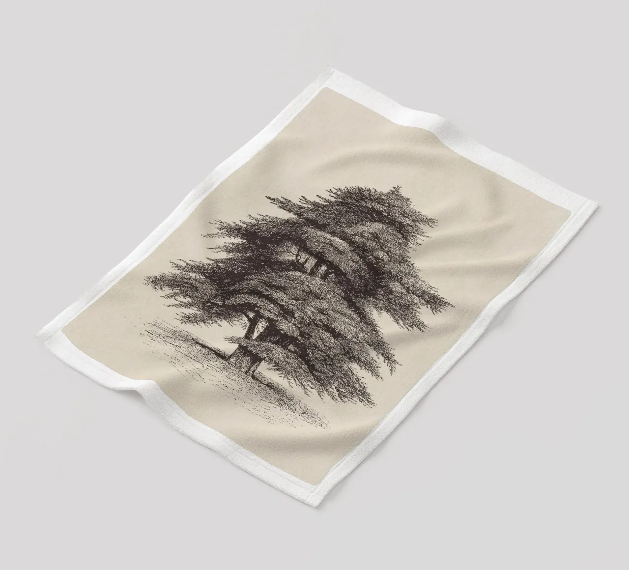 Cedar of Lebanon Tree Sketch coperta in pile da apoloprints