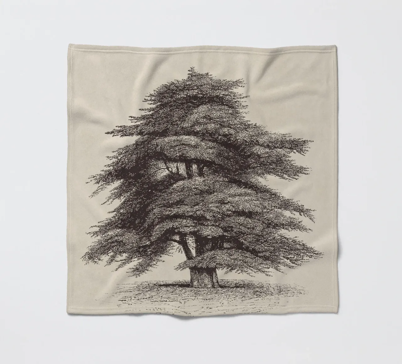 Cedar of Lebanon Tree Sketch coperta in pile da apoloprints