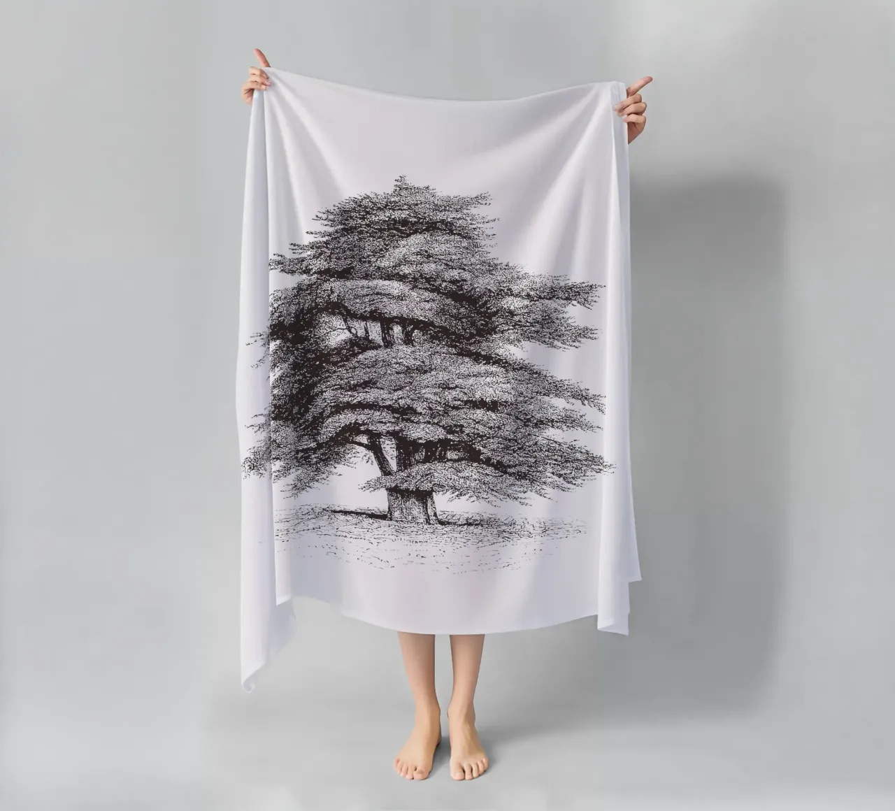 Cedar of Lebanon Tree Sketch telo mare da apoloprints