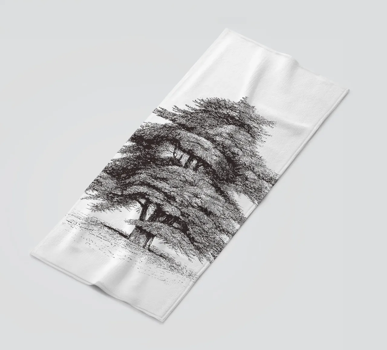 Cedar of Lebanon Tree Sketch telo mare da apoloprints