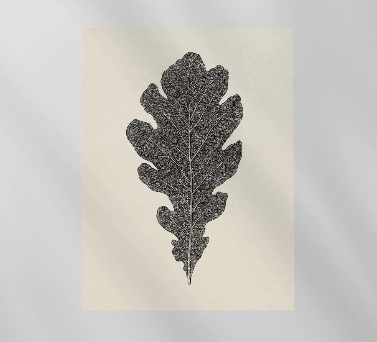 Oak Leaf Sketch no. 3 pellicola backlit da apoloprints