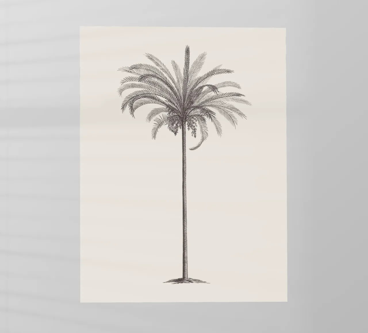 Palm Tree Sketch no. 4 pellicola backlit da apoloprints