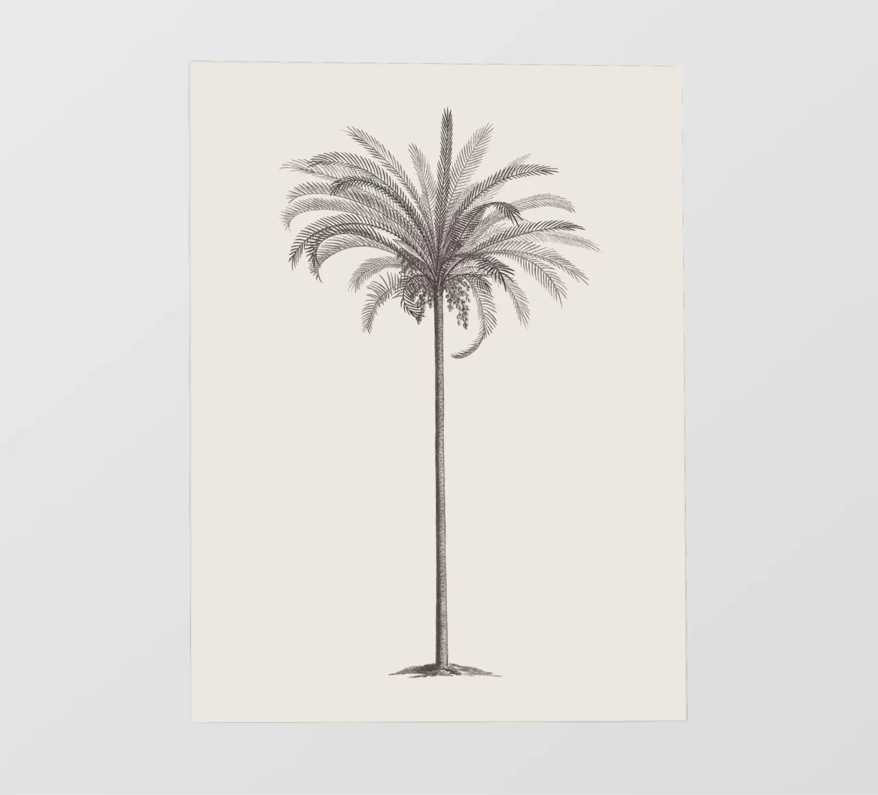 Palm Tree Sketch no. 4 telo in pvc da apoloprints
