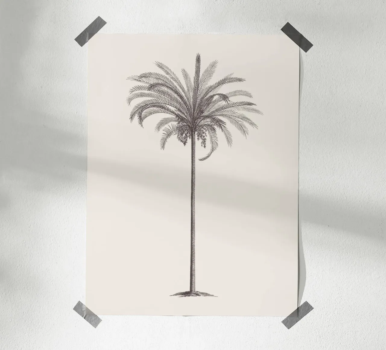 Palm Tree Sketch no. 4 poster da apoloprints