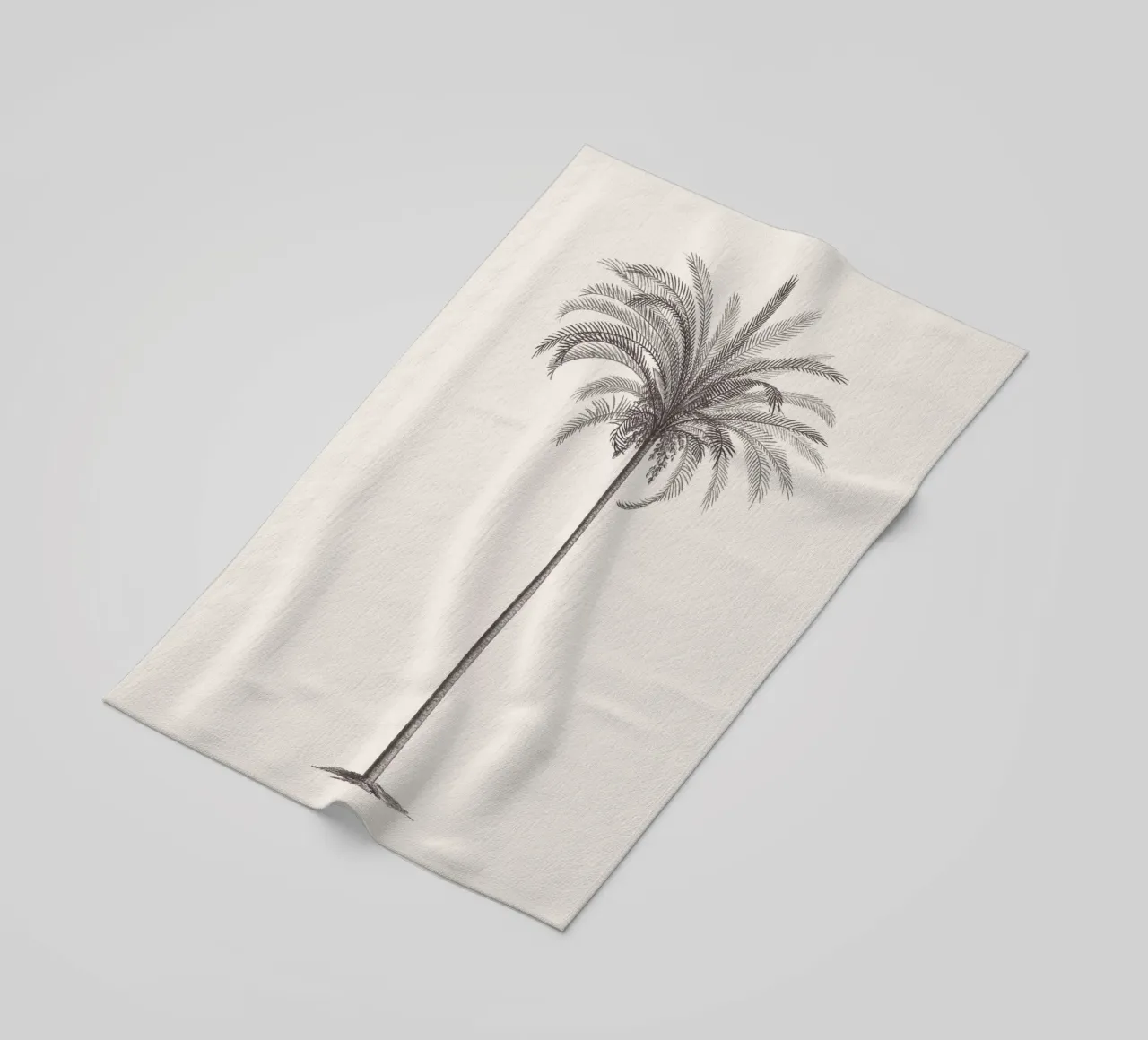 Palm Tree Sketch no. 4 telo mare da apoloprints