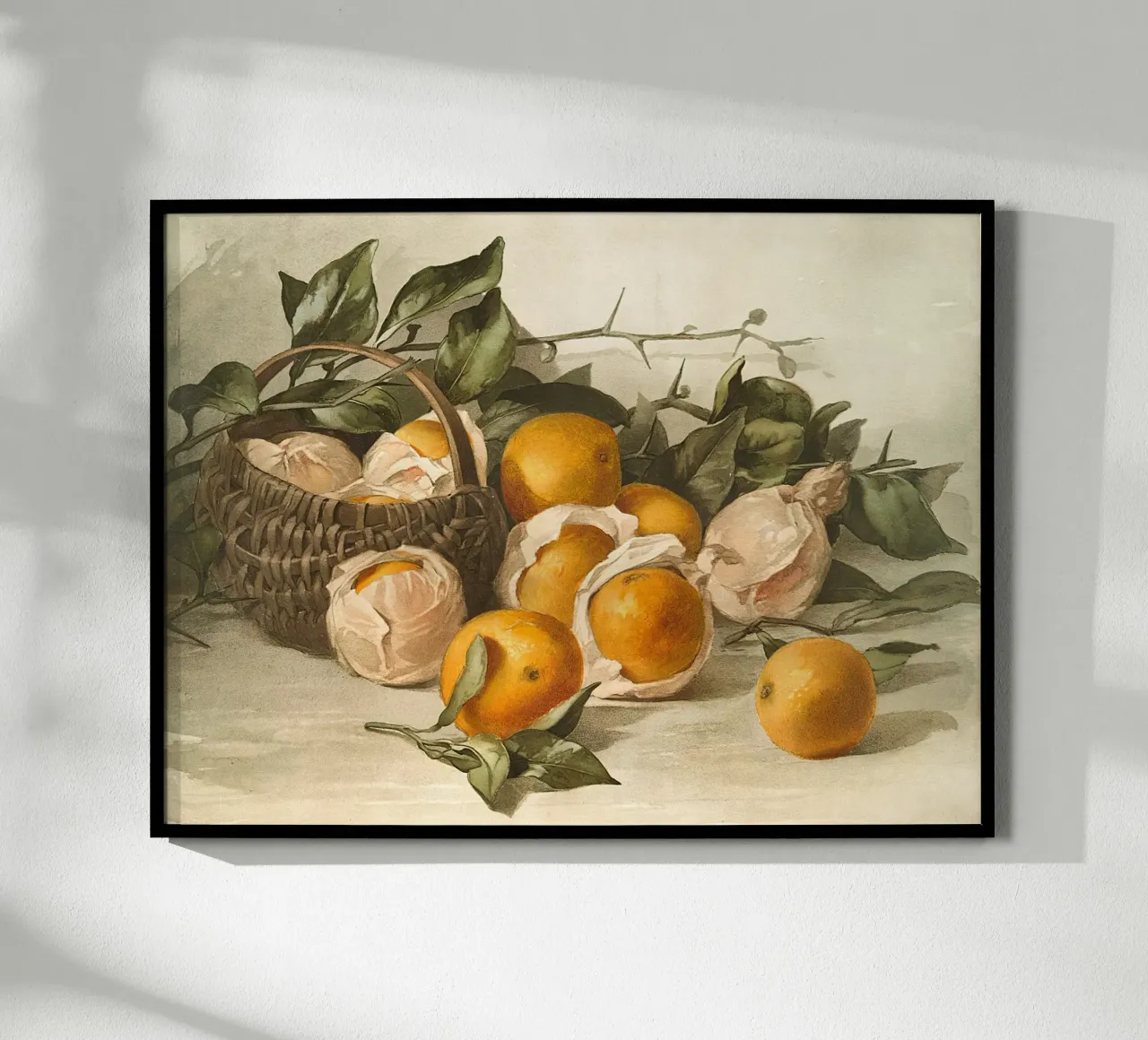 Oranges Watercolor carta hahnemühle da apoloprints