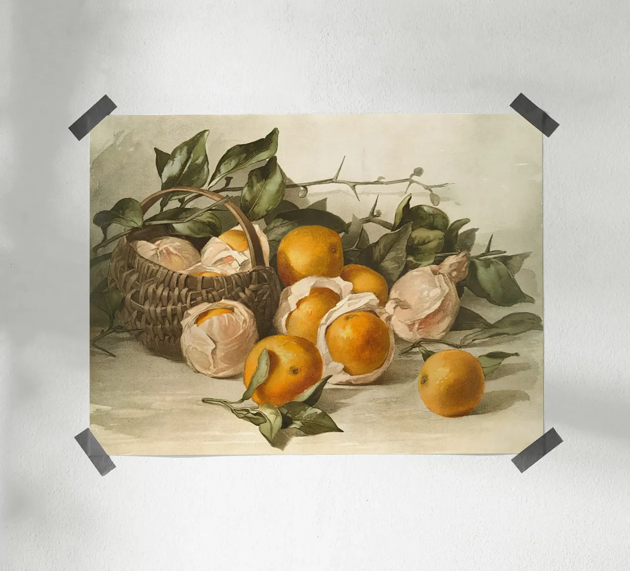 Oranges Watercolor carta hahnemühle da apoloprints