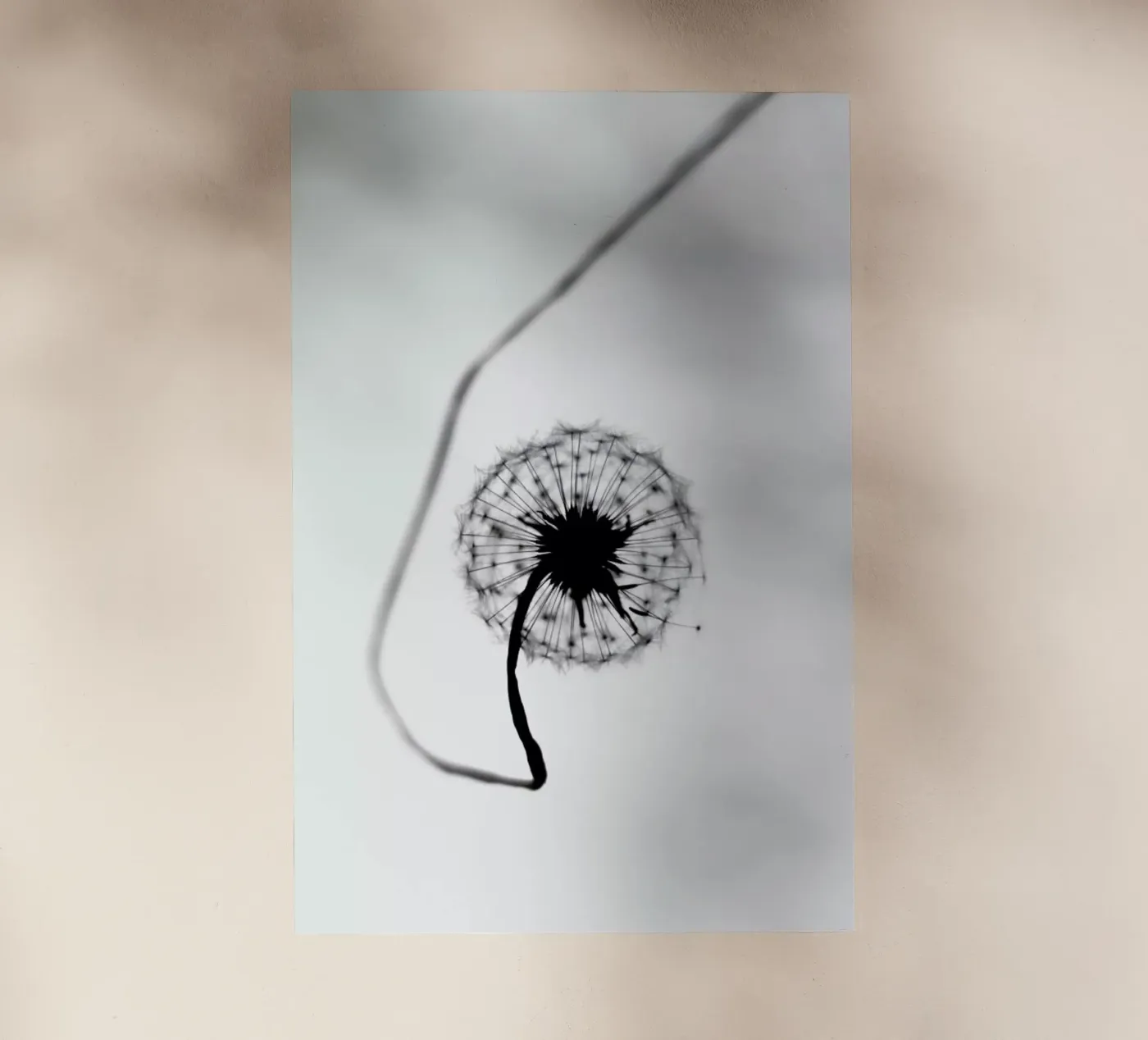 Simplicity backlit folie van Ingrid Beddoes