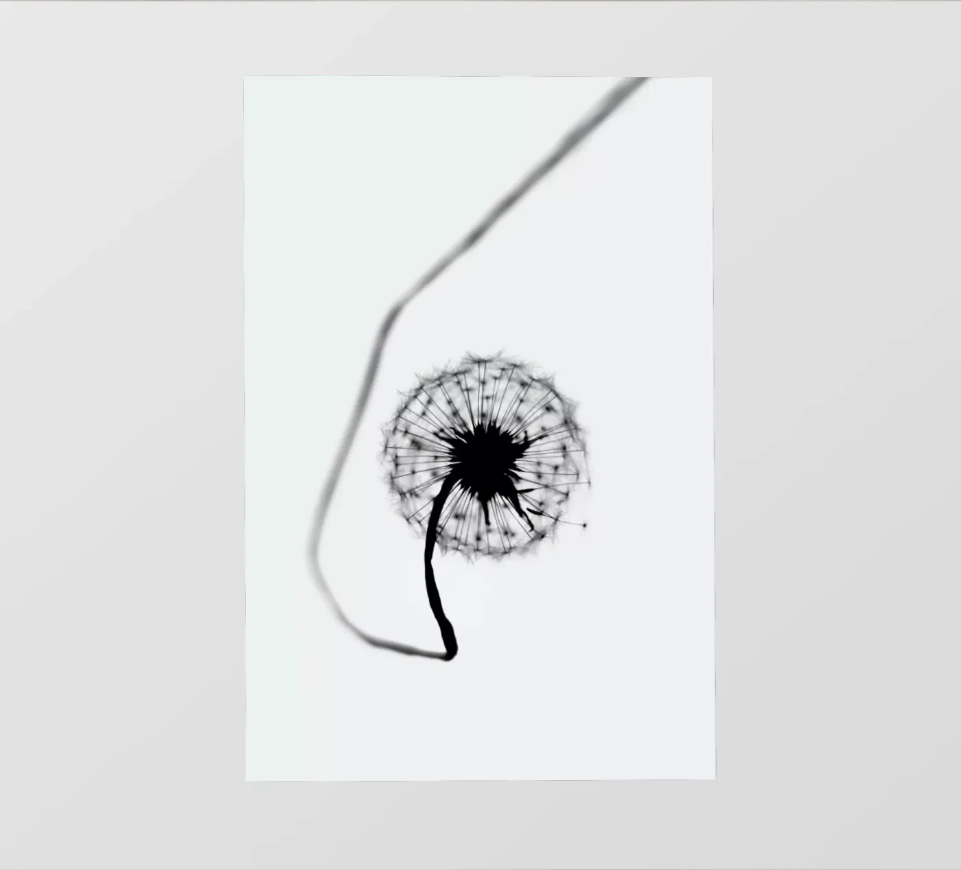 Simplicity backlit folie van Ingrid Beddoes