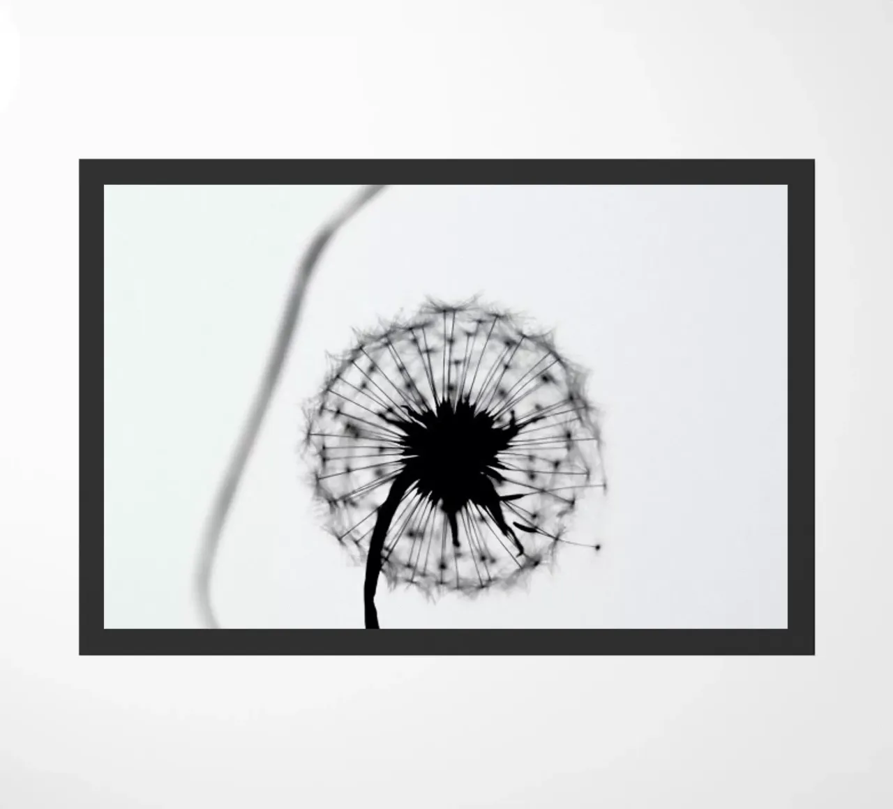 Simplicity zerbino da Ingrid Beddoes