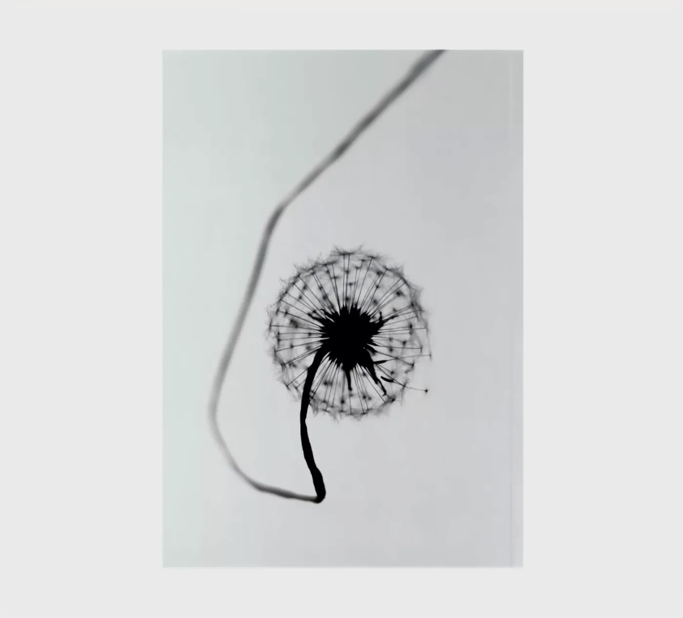 Simplicity notebook by Ingrid Beddoes