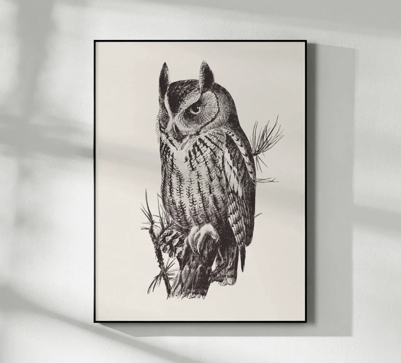 Screech owl plexiglass da apoloprints