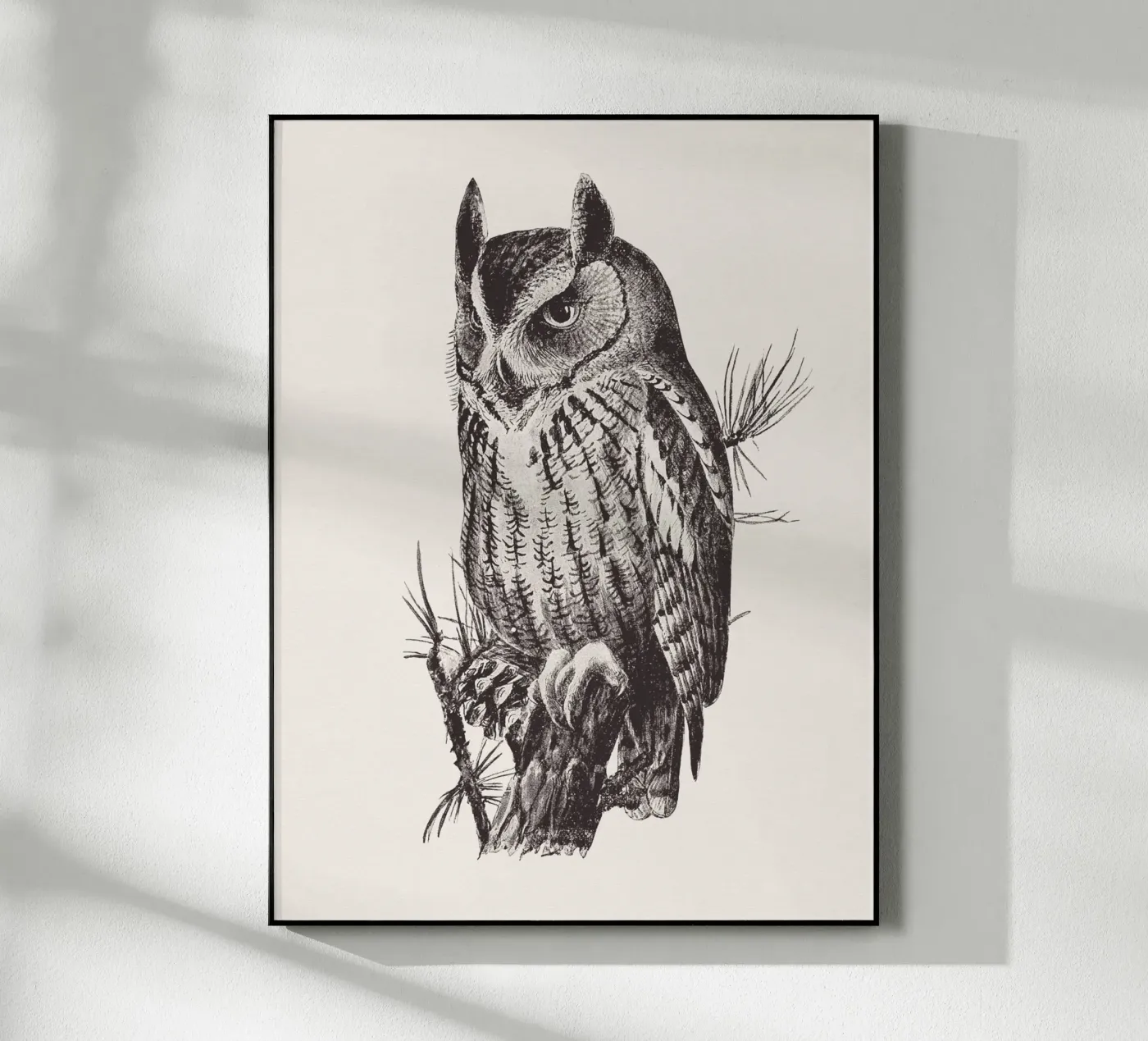 Screech owl acrylic glass by Apolo Prints