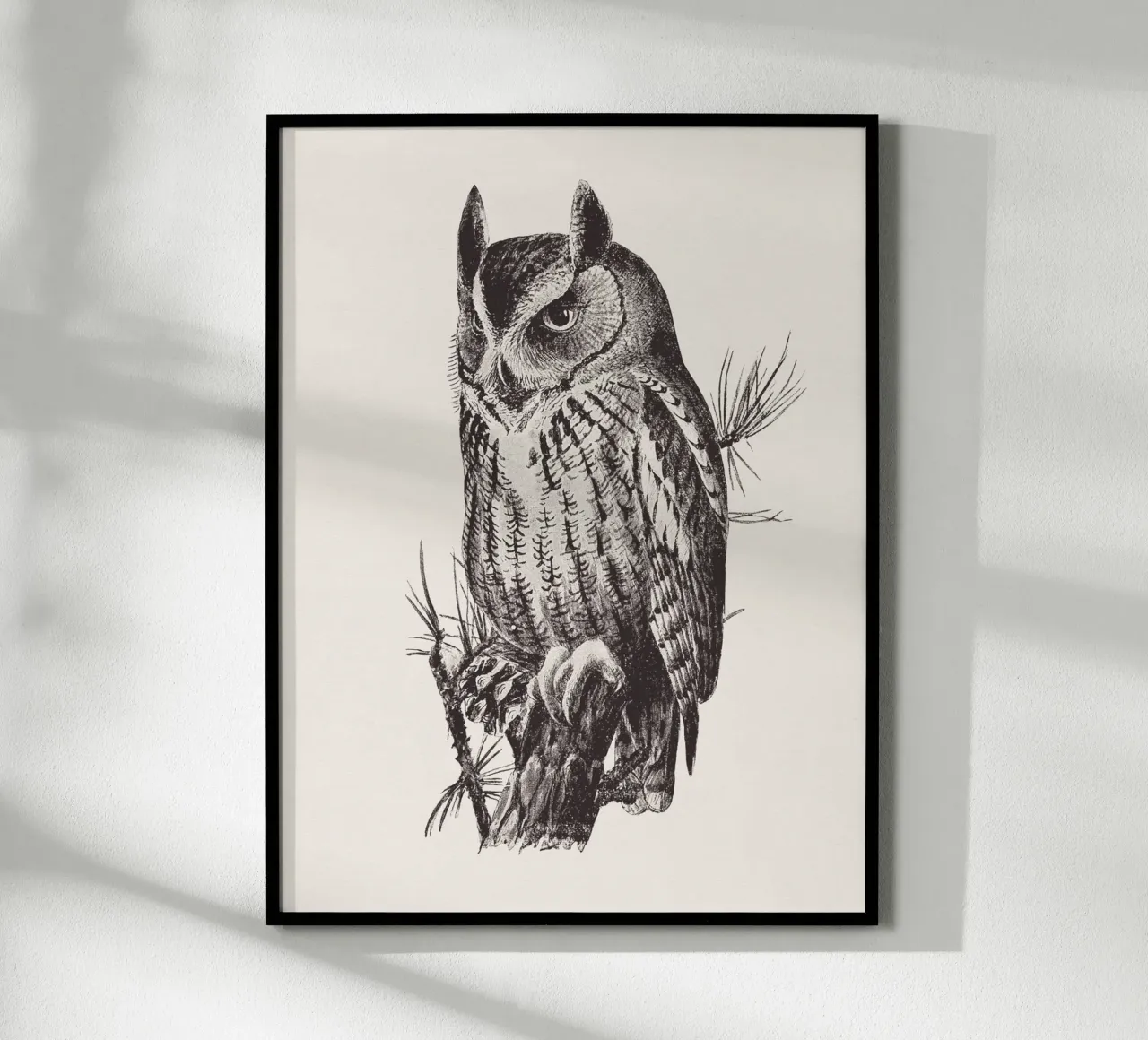 Screech owl poster da Sketch and Drawing