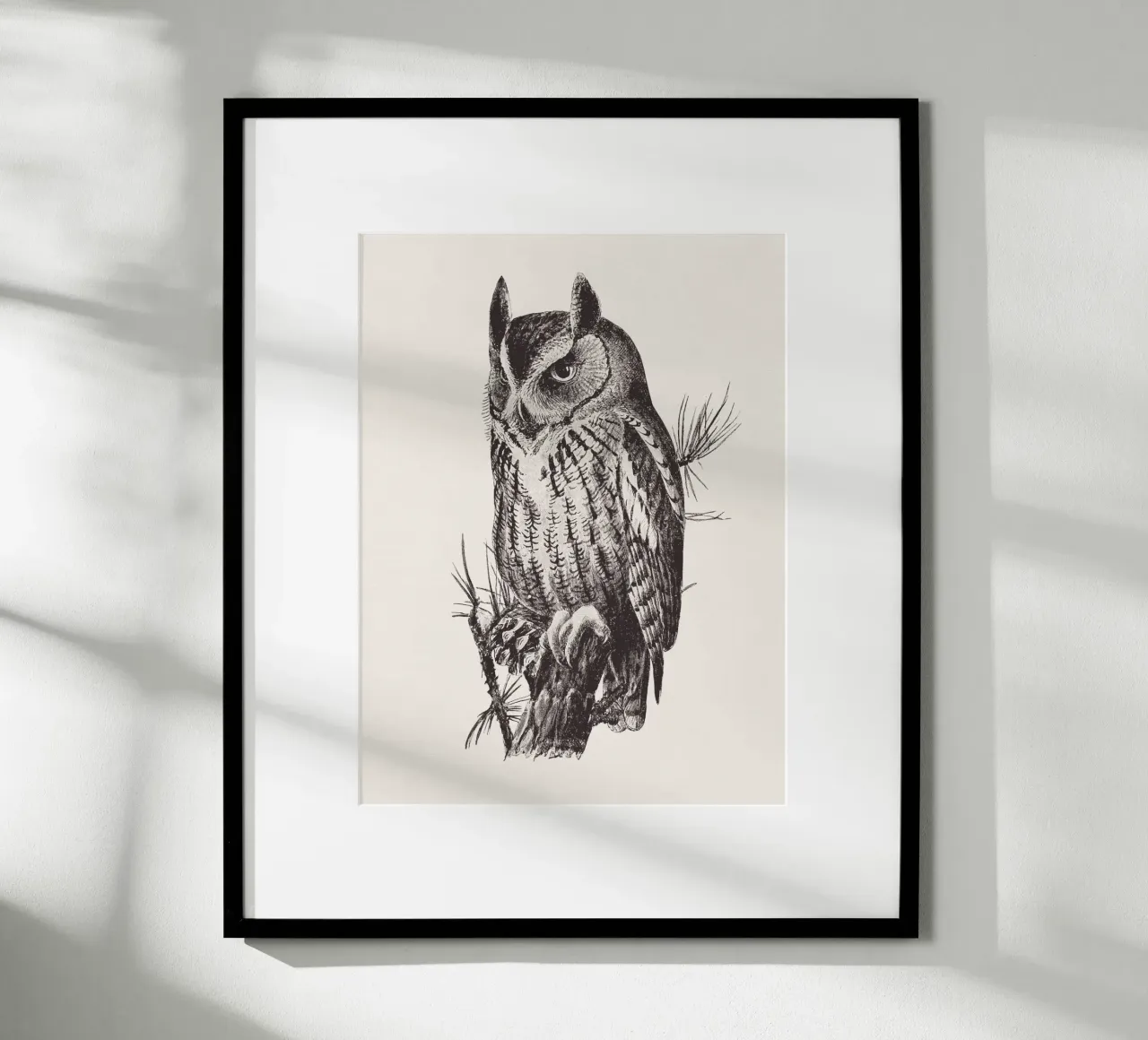 Screech owl poster da Sketch and Drawing