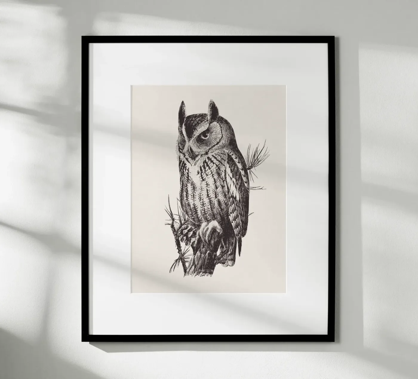 Screech owl poster da Apolo Prints