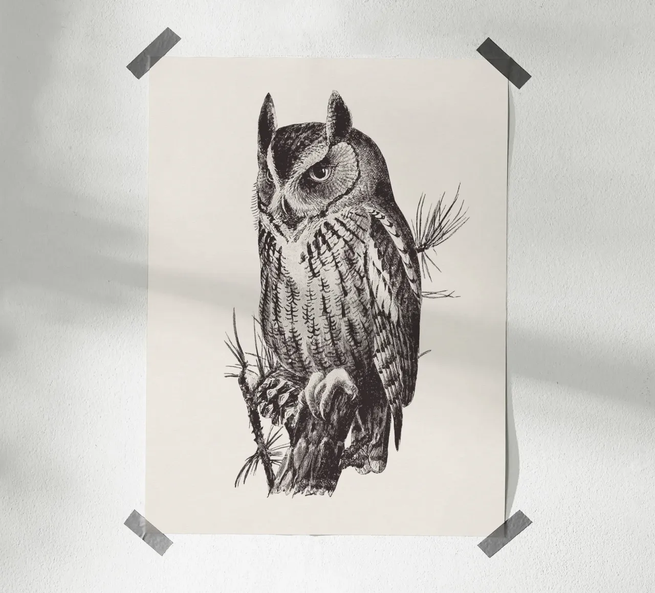 Screech owl poster da Sketch and Drawing