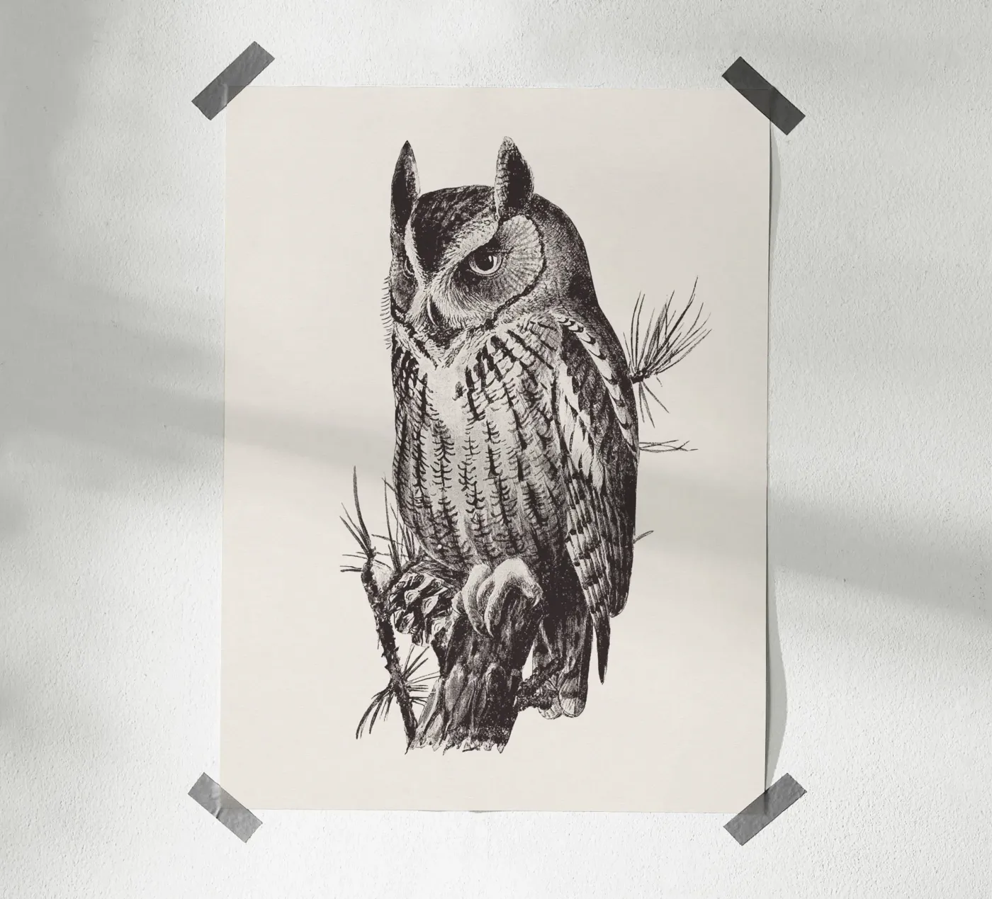 Screech owl poster da Apolo Prints