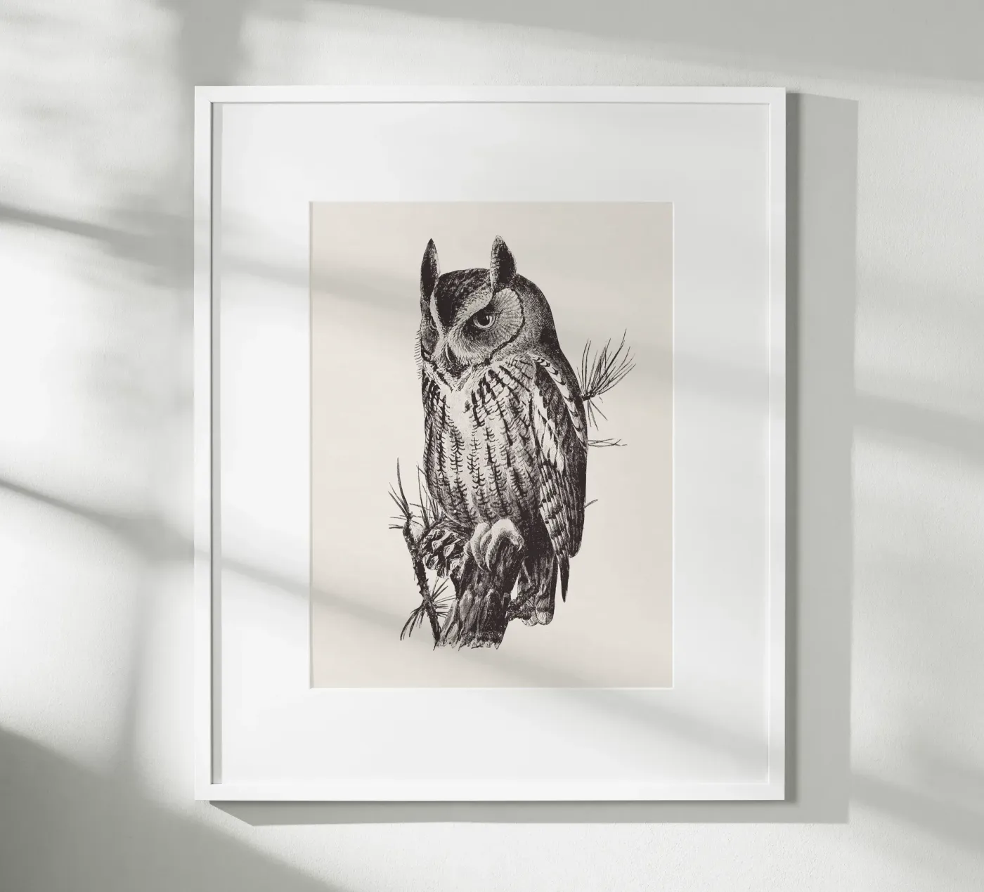Screech owl poster da Apolo Prints
