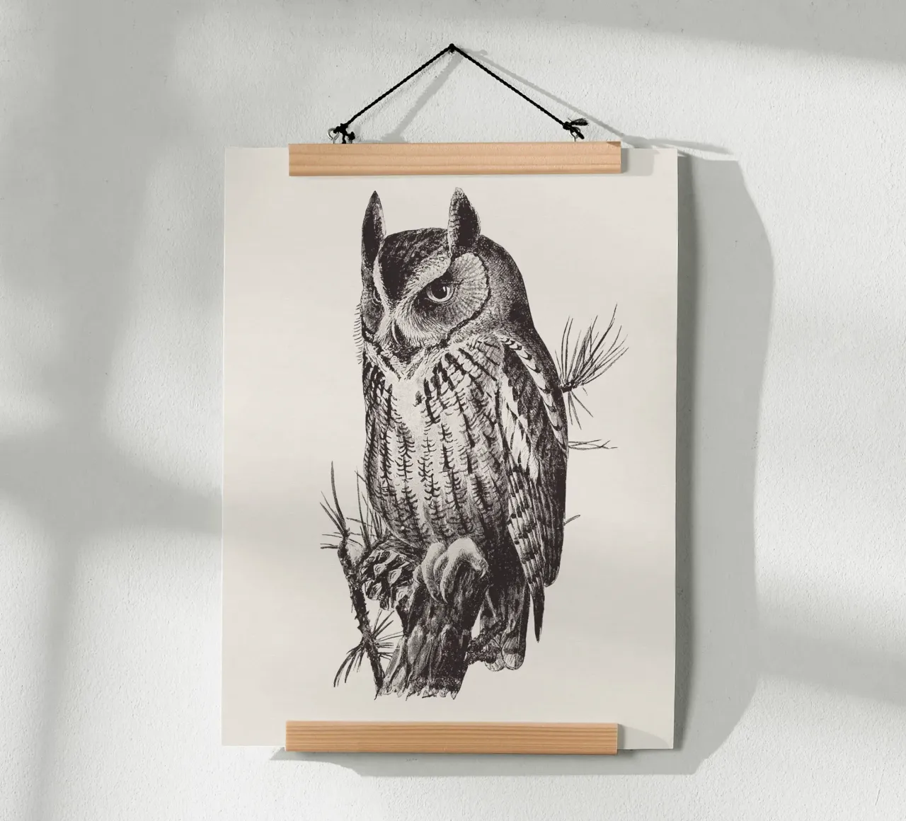 Screech owl poster da Sketch and Drawing