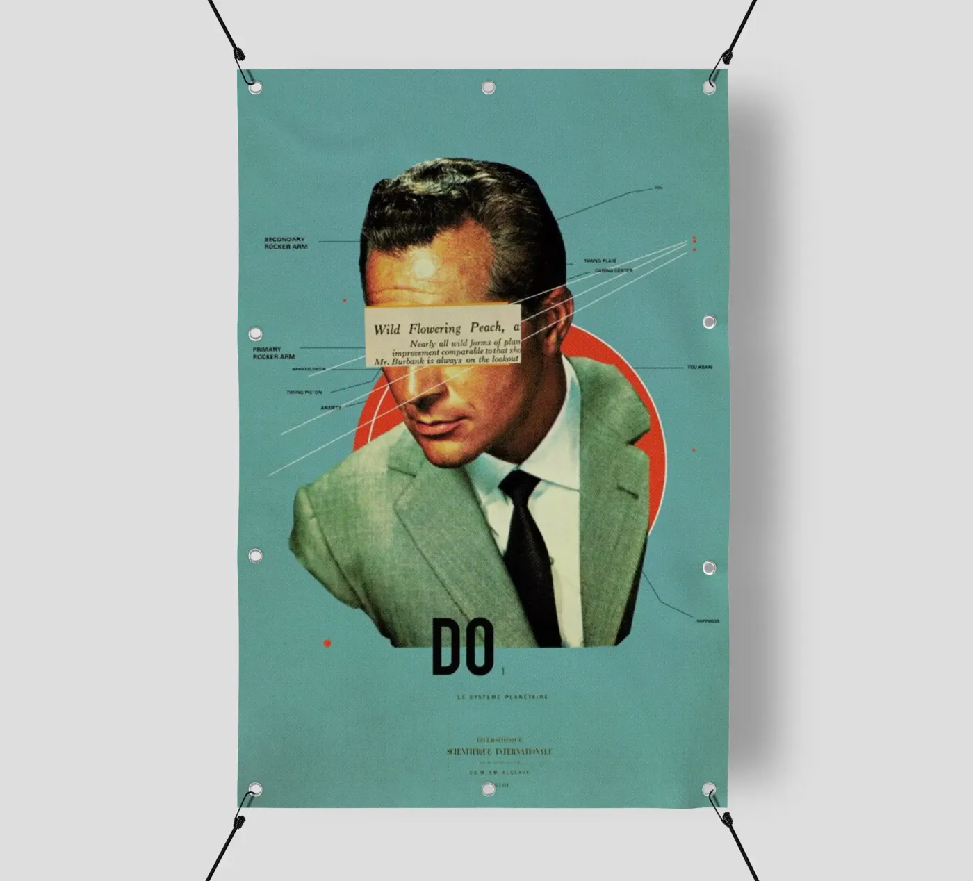 Do PVC Plane von Frank Moth
