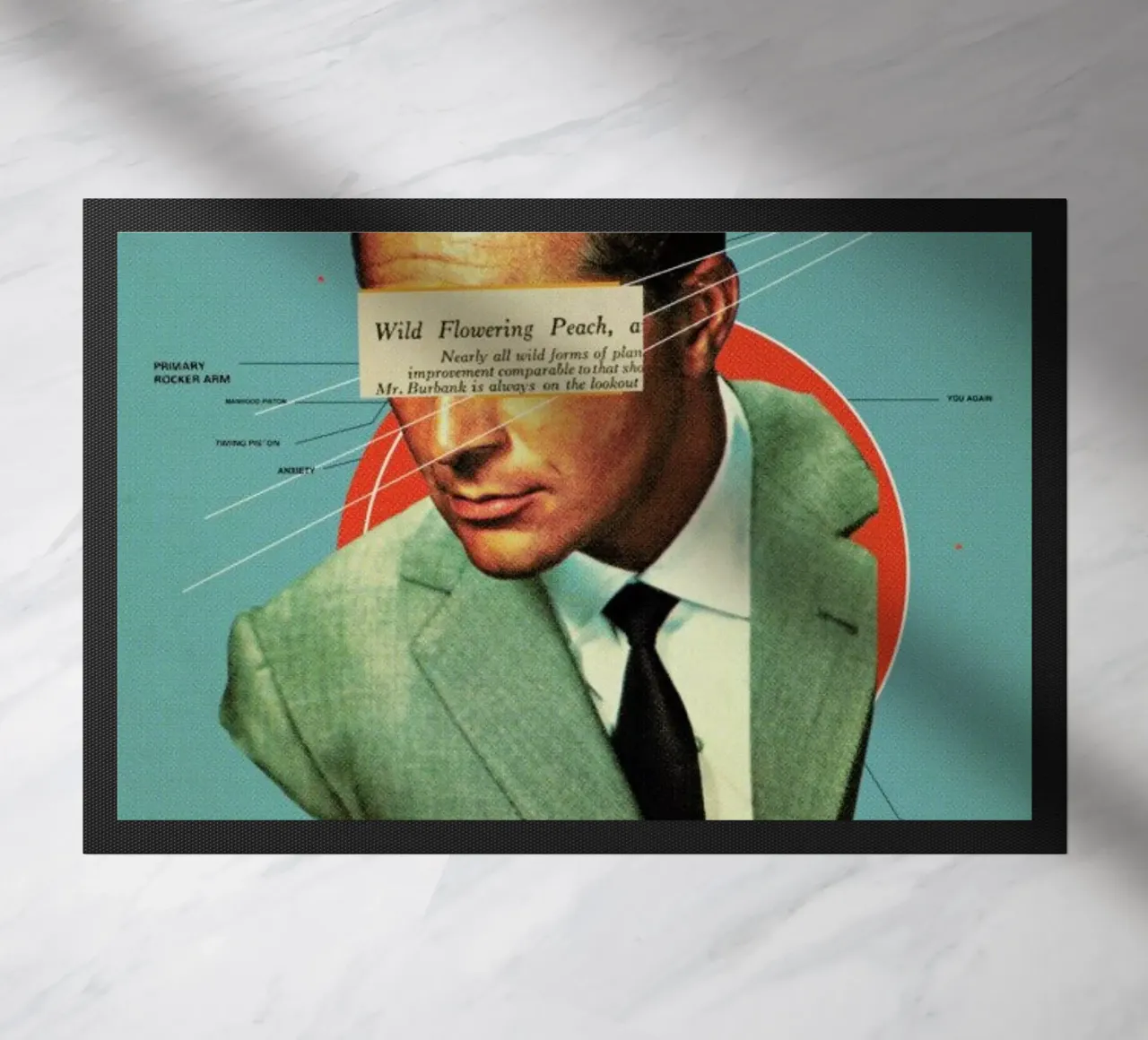 Do zerbino da Frank Moth