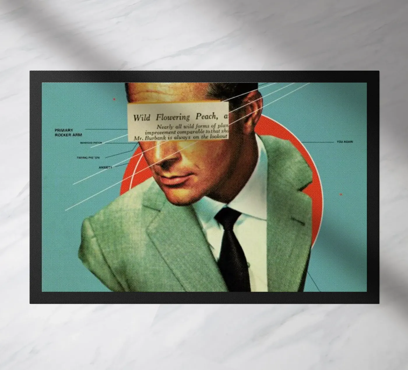 Do zerbino da Frank Moth