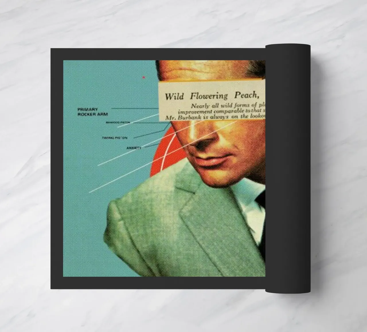 Do zerbino da Frank Moth